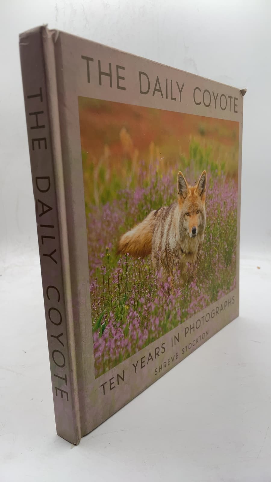 THE Daily Coyote: TEN Years IN Photographs