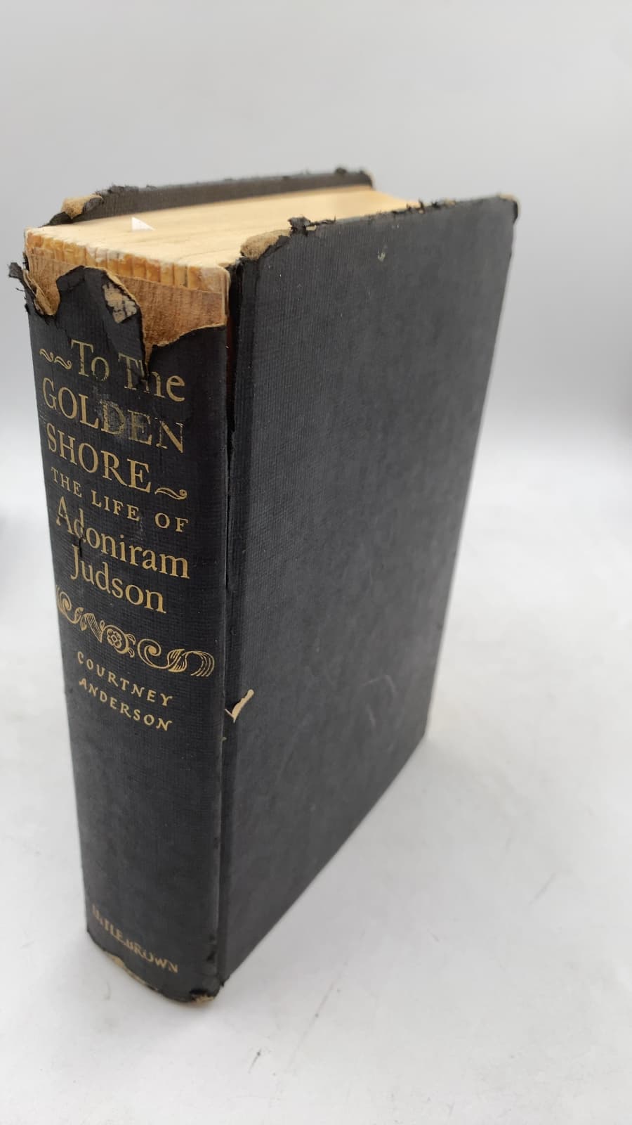 To the Golden Shore: The Life of Adoniram Judson by Courtney Anderson - front cover