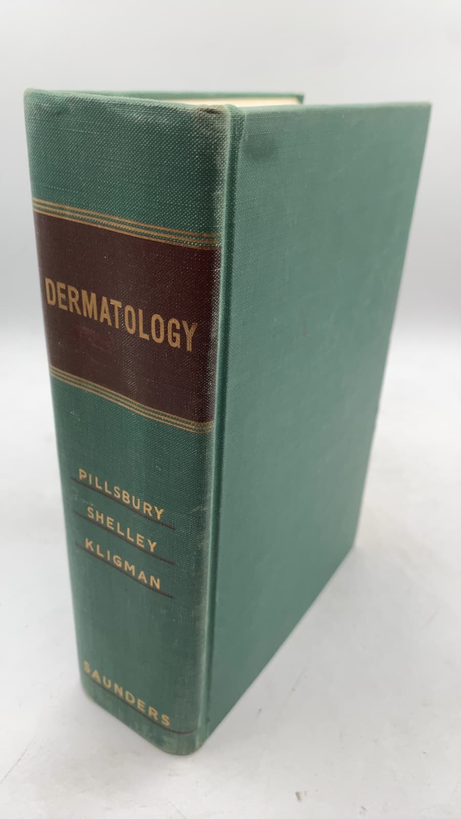 Dermatology by Donald M. Pillsbury, Walter B. Shelley, Albert M. Kligman - front cover