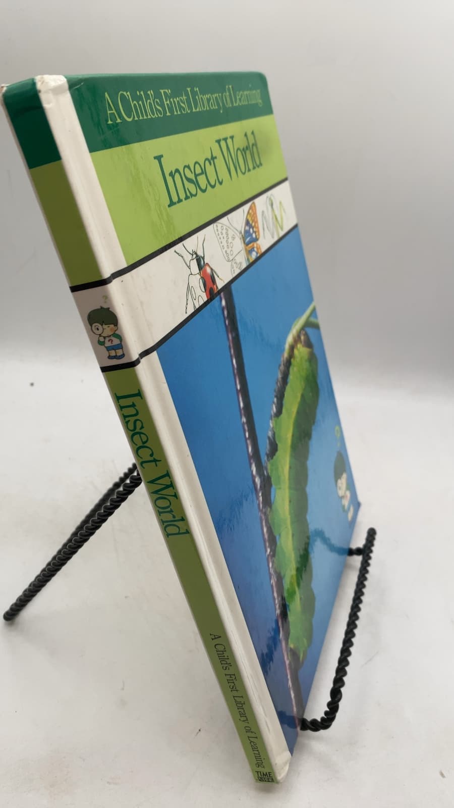Insect World