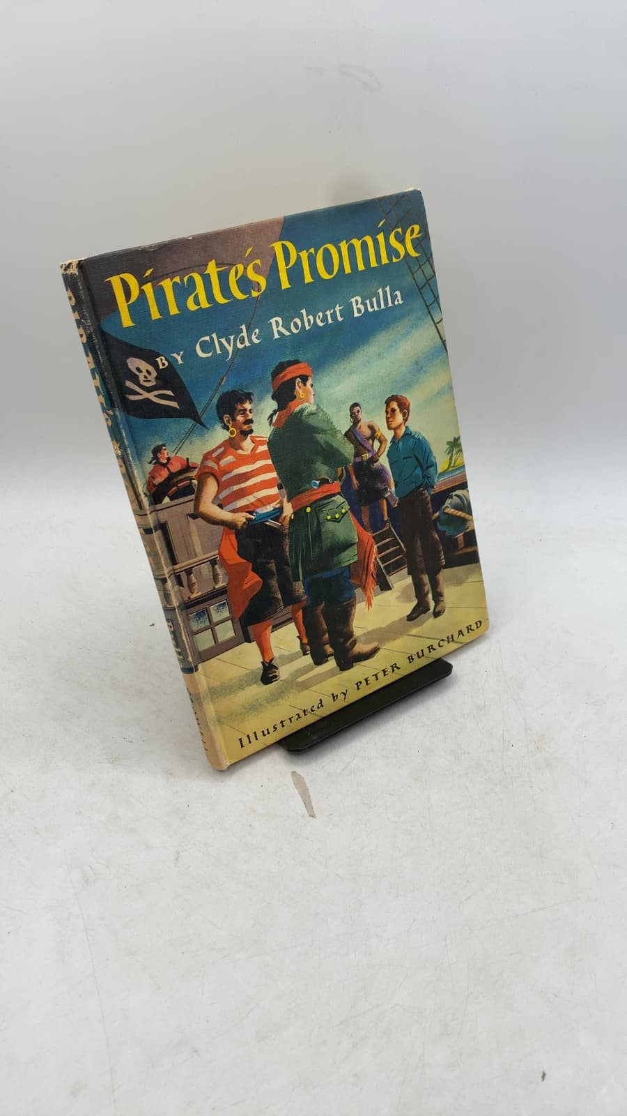 Pirate's Promise