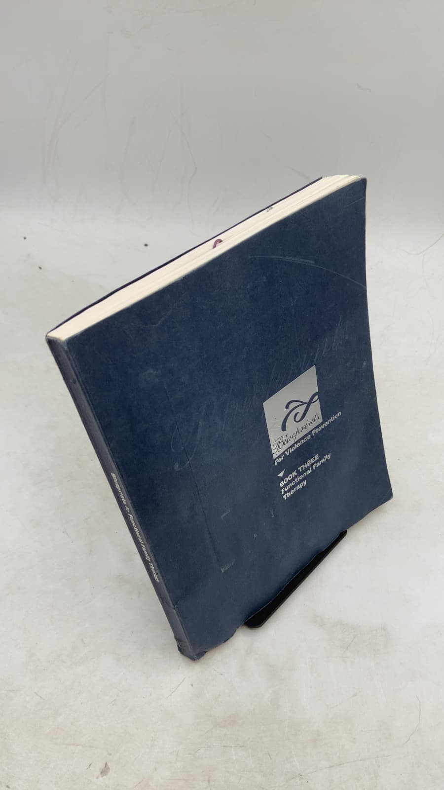 Blueprints for Violence Prevention: Functional Family Therapy