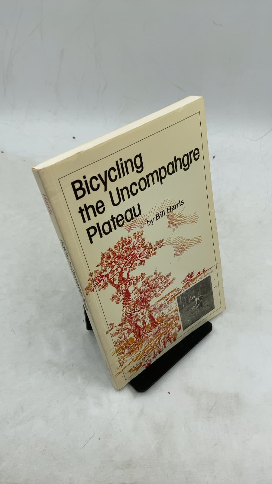 Bicycling the Uncompahgre Plateau