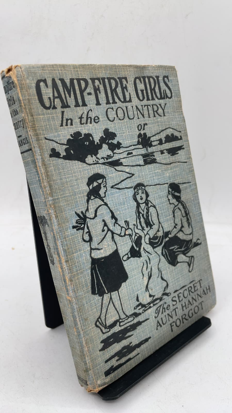 Campfire Girls in the Country; or, The Secret Aunt Hannah Forgot