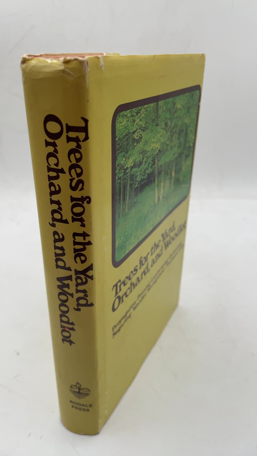 Trees for the Yard, Orchard, and Woodlot by Roger B. Yepsen, Jr. - front cover