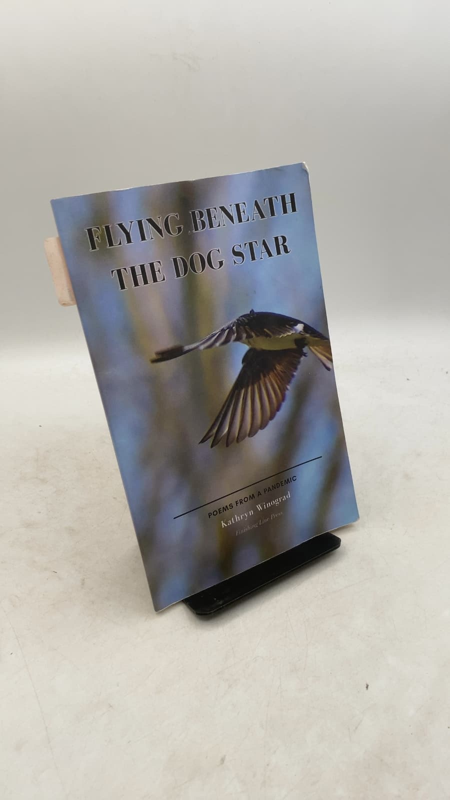 Flying Beneath the Dog Star: Poems from a Pandemic
