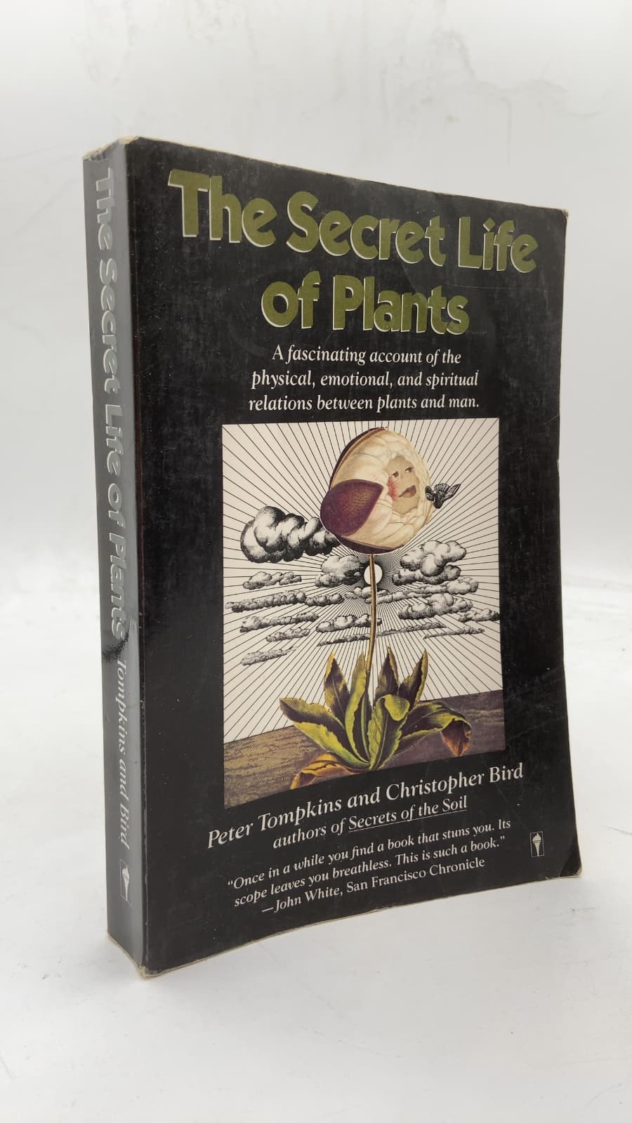 The Secret Life of Plants