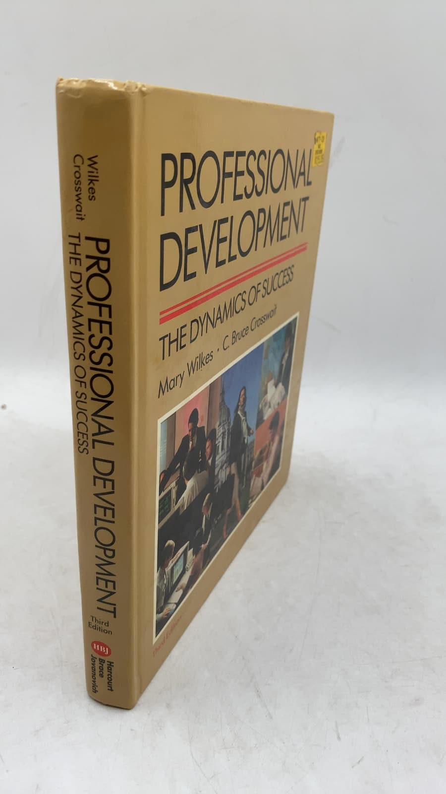 Professional Development: The Dynamics of Success