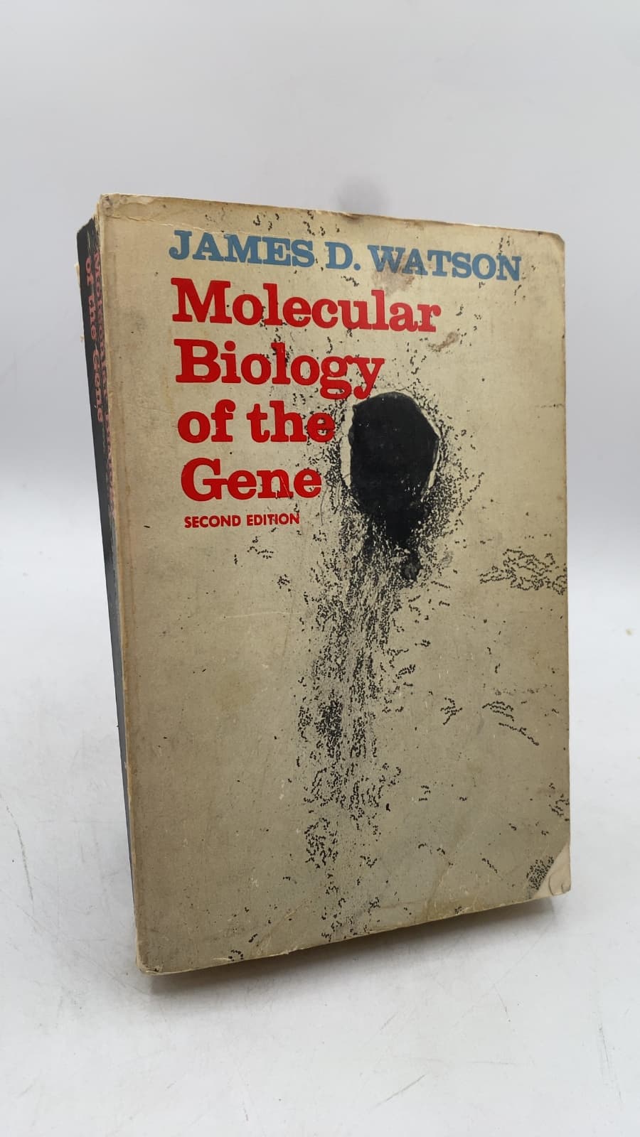 Molecular Biology of the Gene
