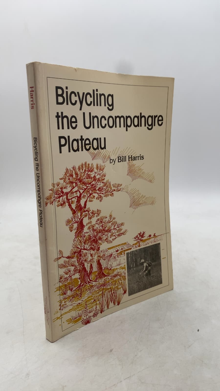 Bicycling the Uncompahgre Plateau