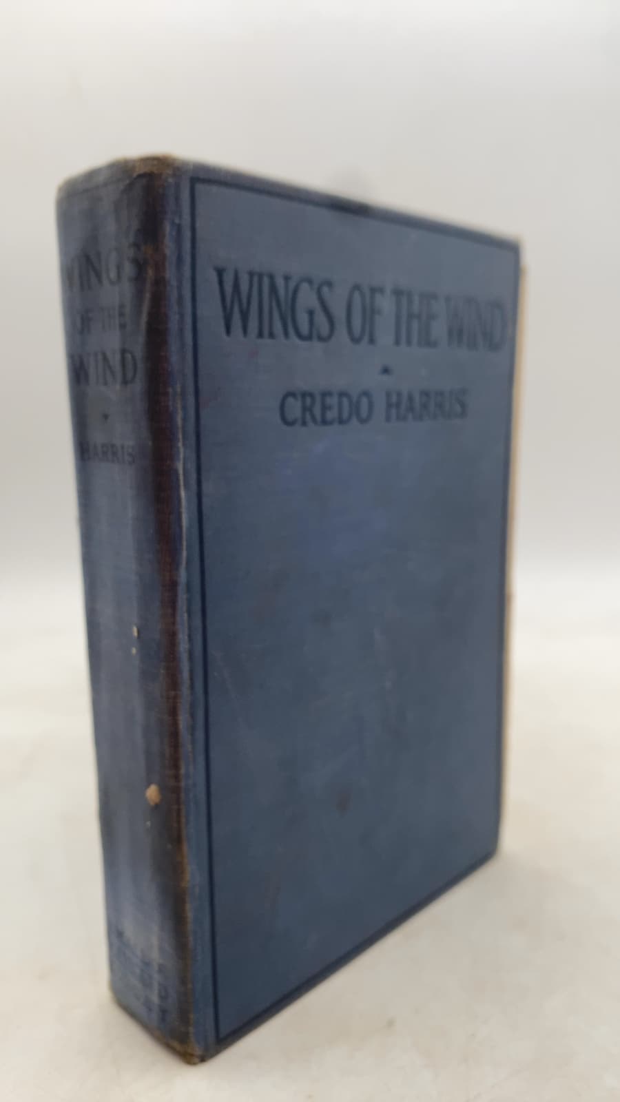 Wings of the Wind