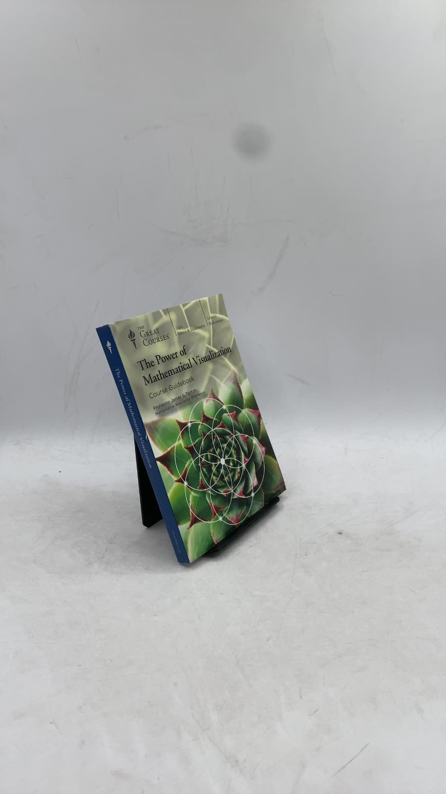 The Power of Mathematical Visualization: Course Guidebook