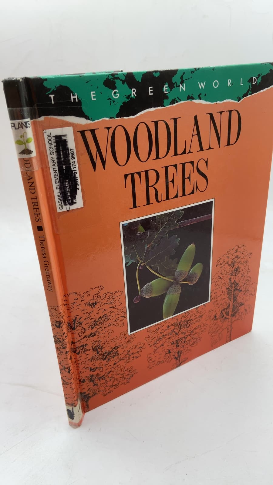 Woodland Trees