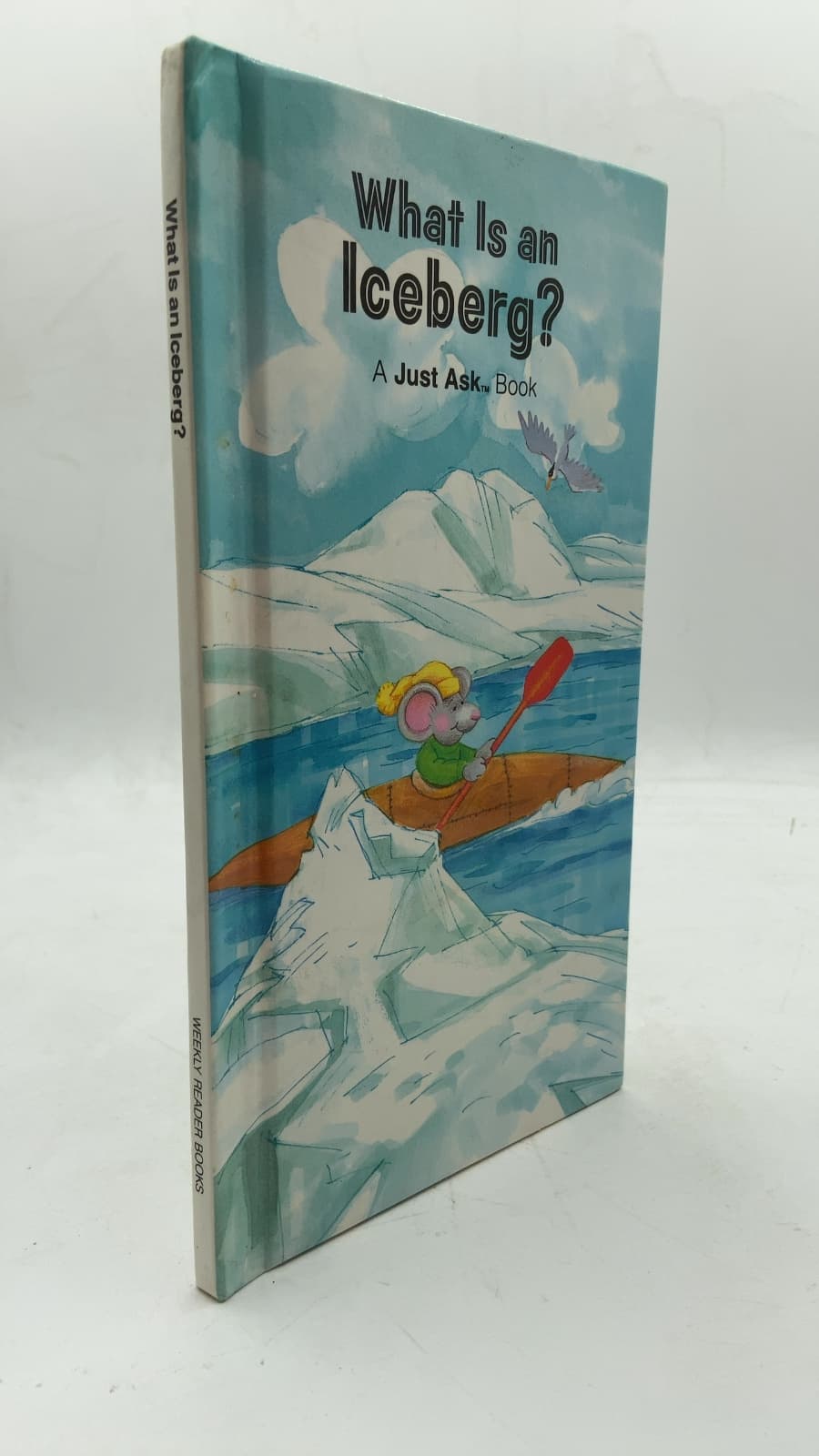 What Is an Iceberg? by Chris Arvetis and Carole Palmer - front cover