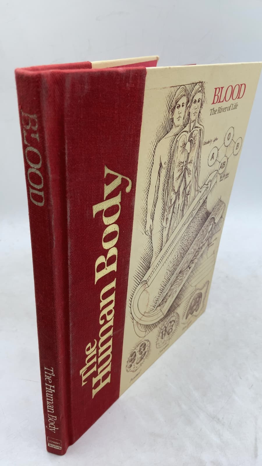 Blood: The River of Life
