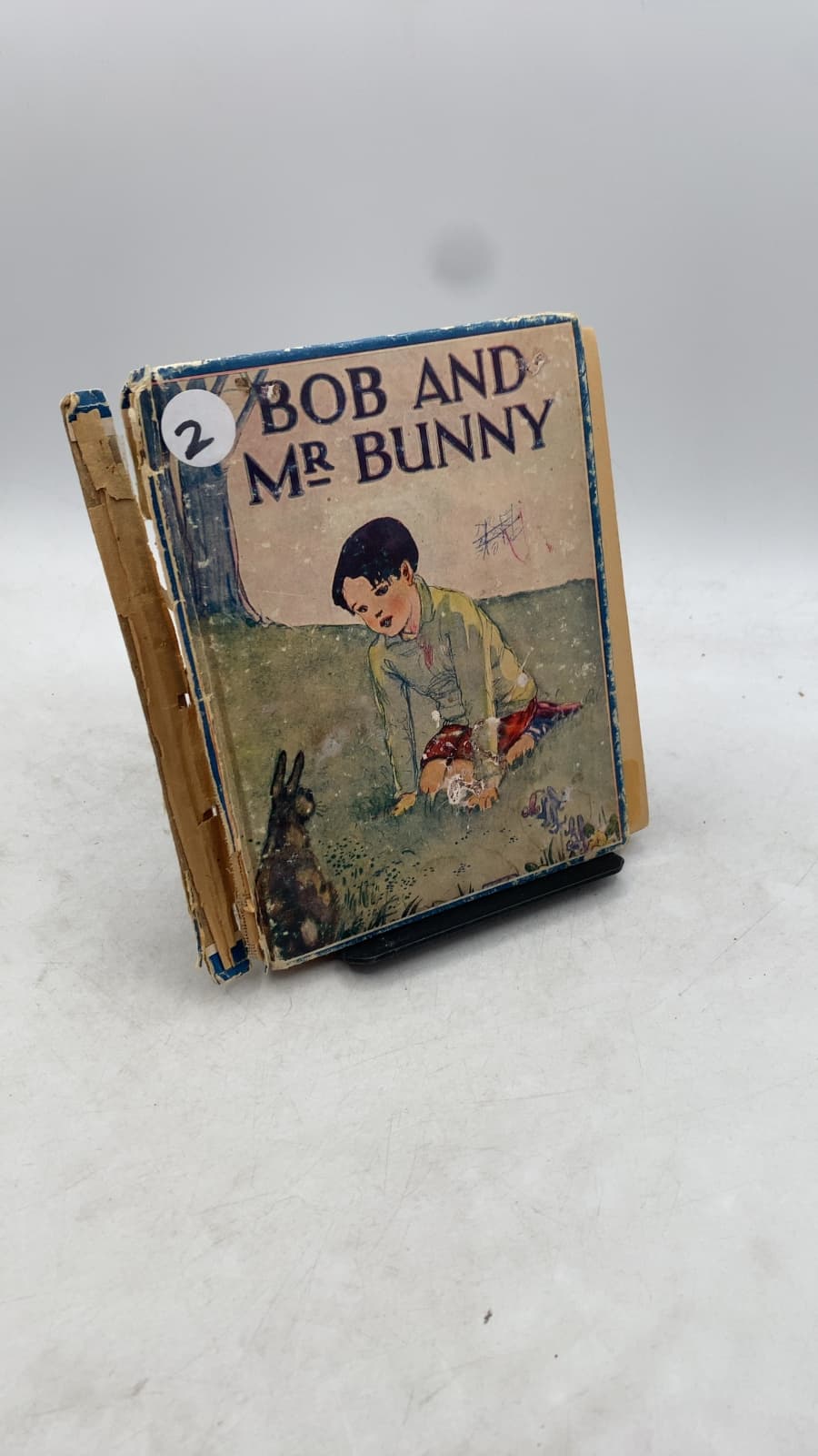 BOB AND MR Bunny