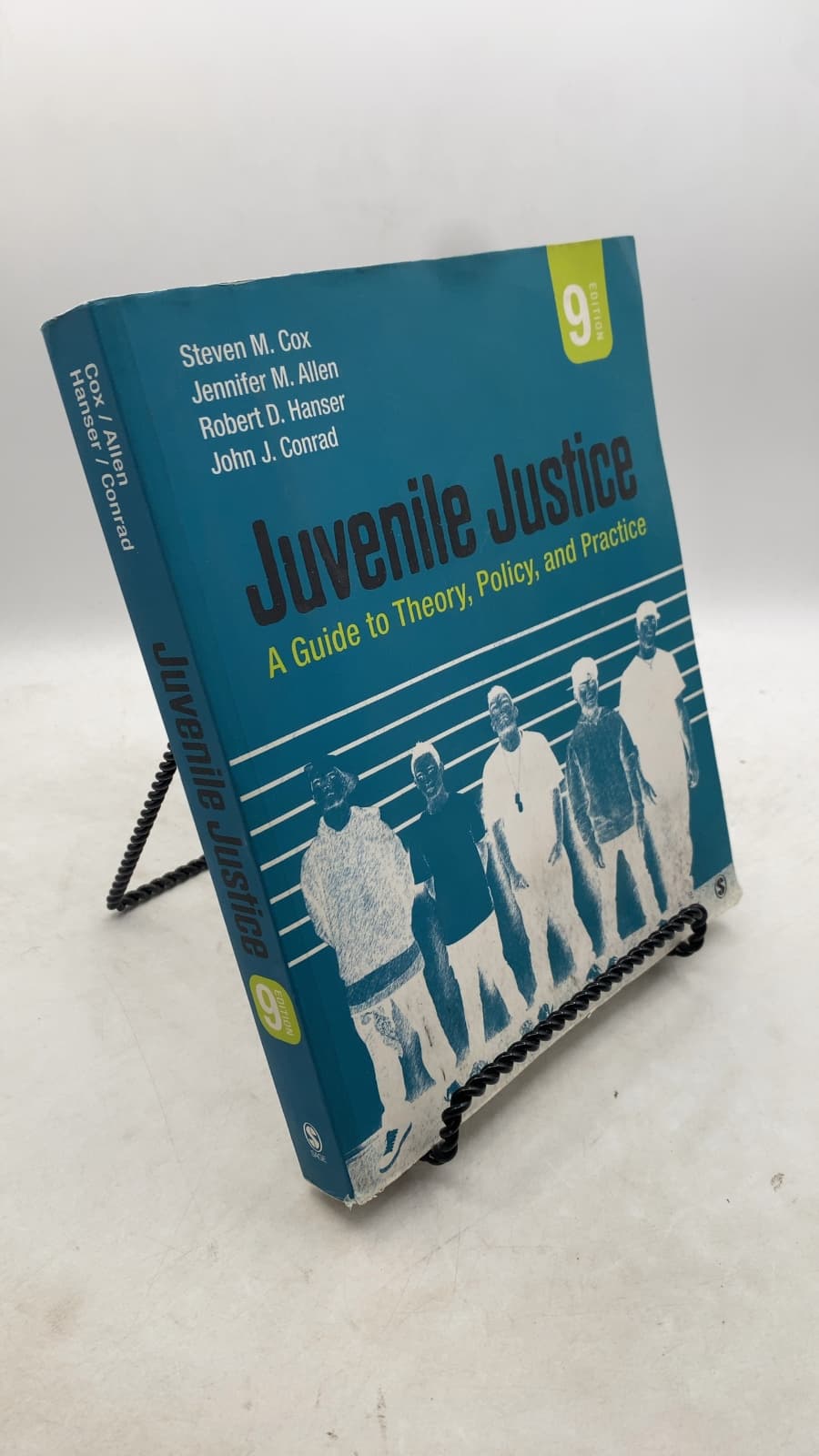 Juvenile Justice: A Guide to Theory, Policy, and Practice
