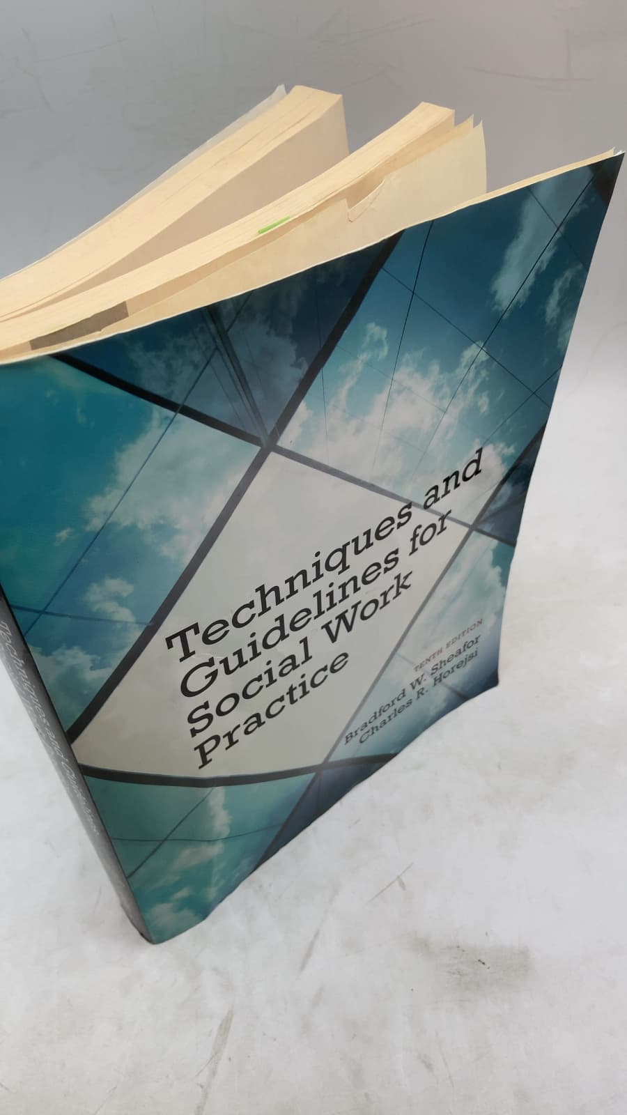 Techniques and Guidelines for Social Work Practice