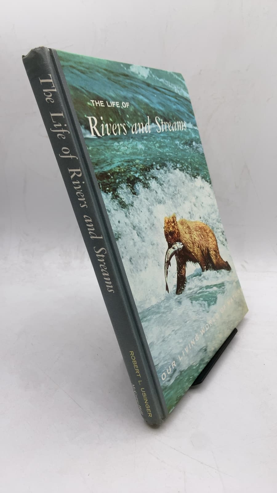 The Life of Rivers and Streams