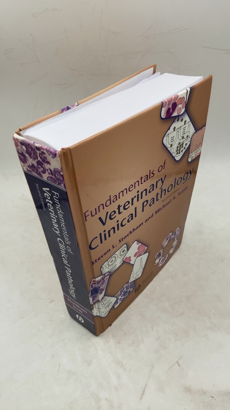 Fundamentals of Veterinary Clinical Pathology by Steven L. Stockham and Michael A. Scott - front cover
