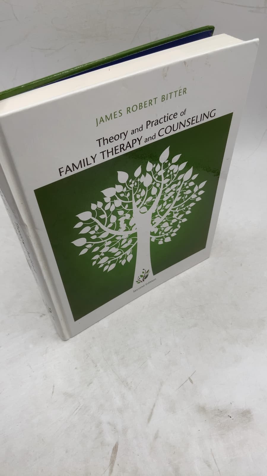 Theory and Practice of Family Therapy and Counseling