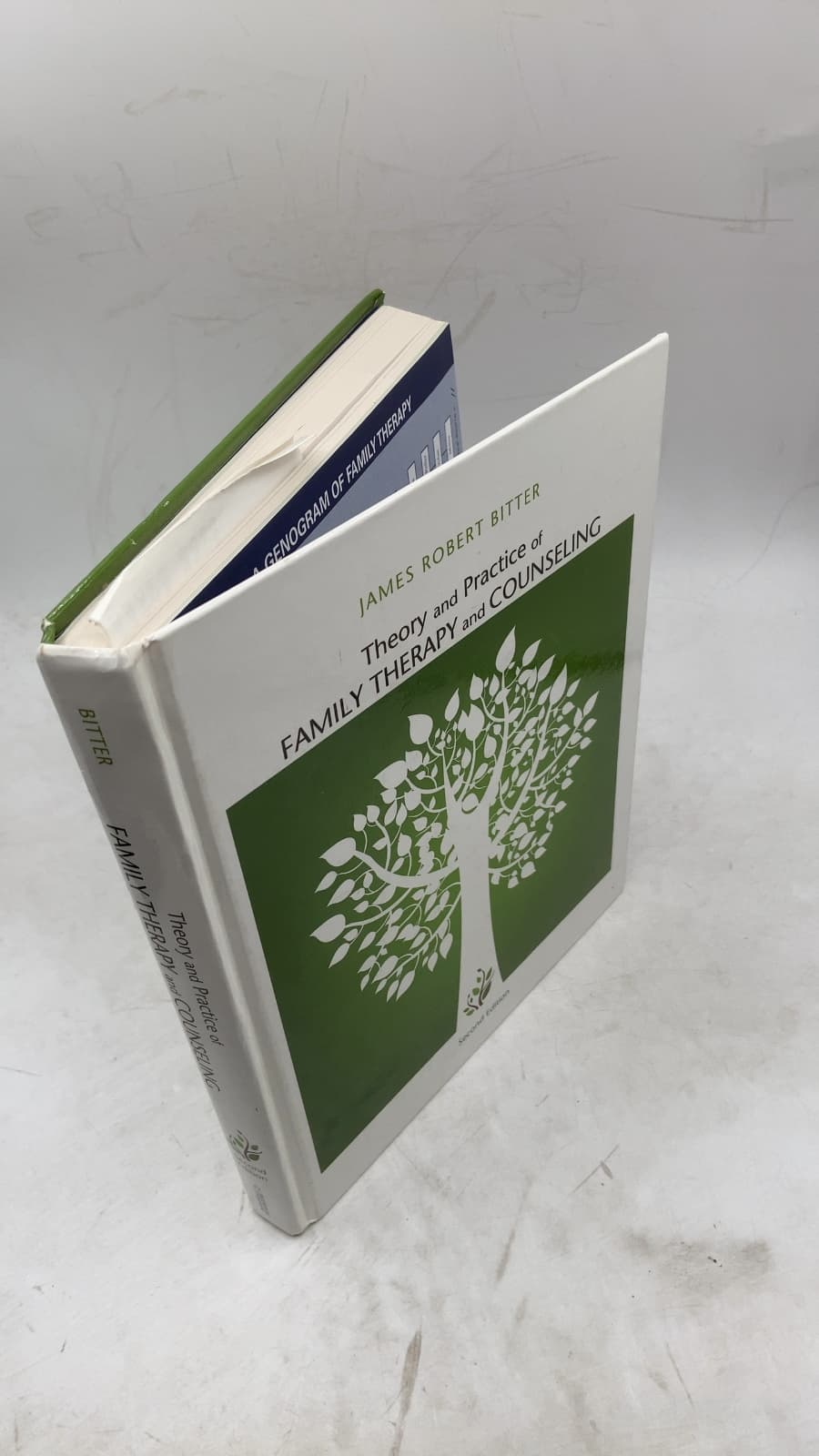 Theory and Practice of Family Therapy and Counseling