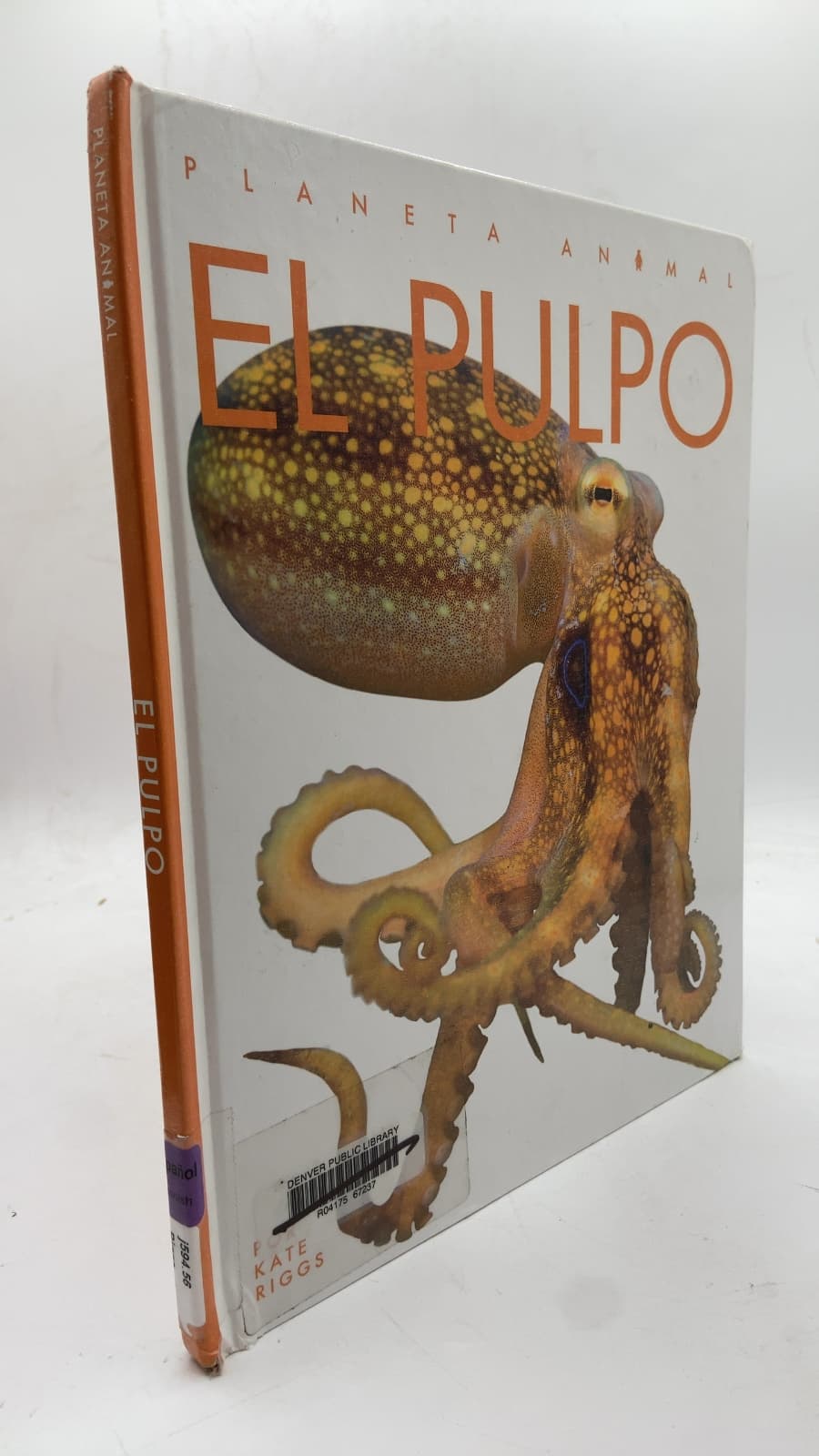 EL Pulpo