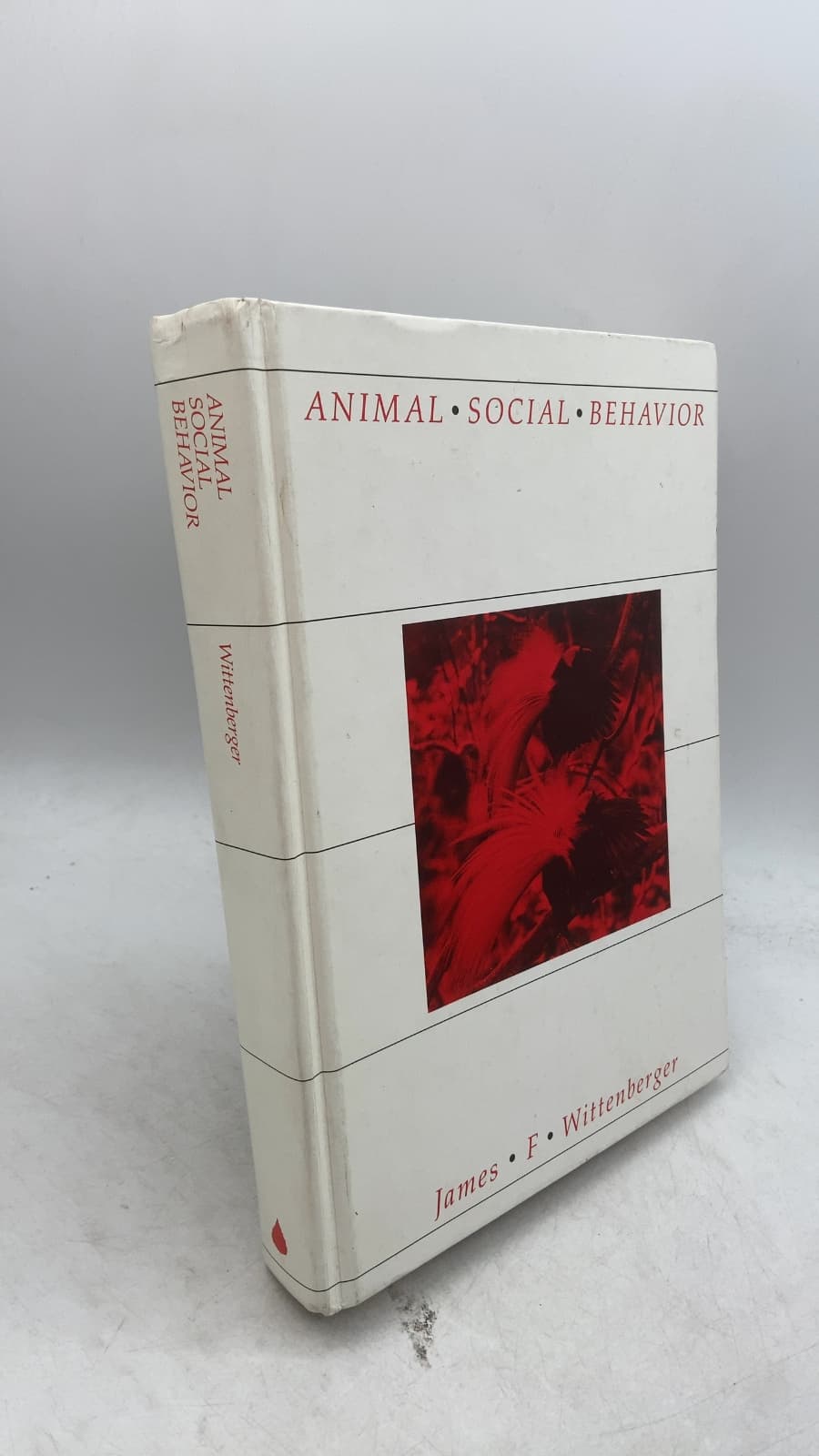 Animal Social Behavior