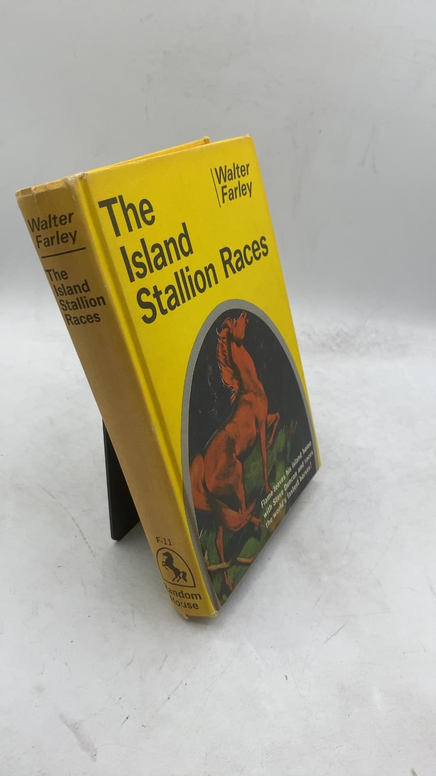 The Island Stallion Races