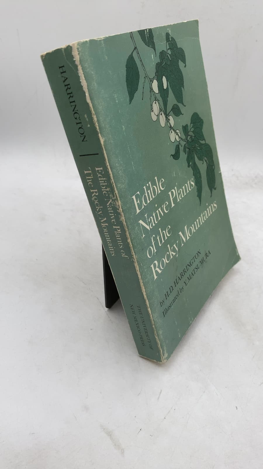 Edible Native Plants of the Rocky Mountains