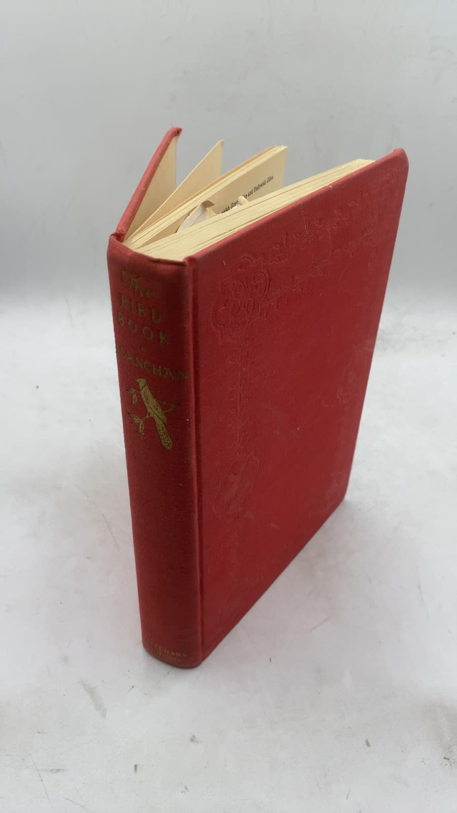 The Bird Book: Bird Neighbors