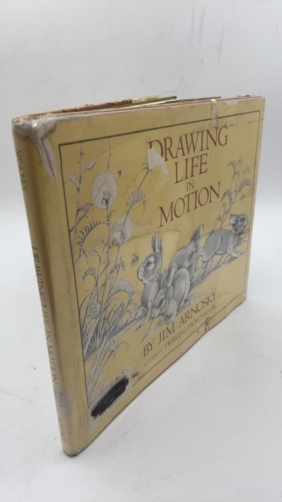 Drawing Life in Motion