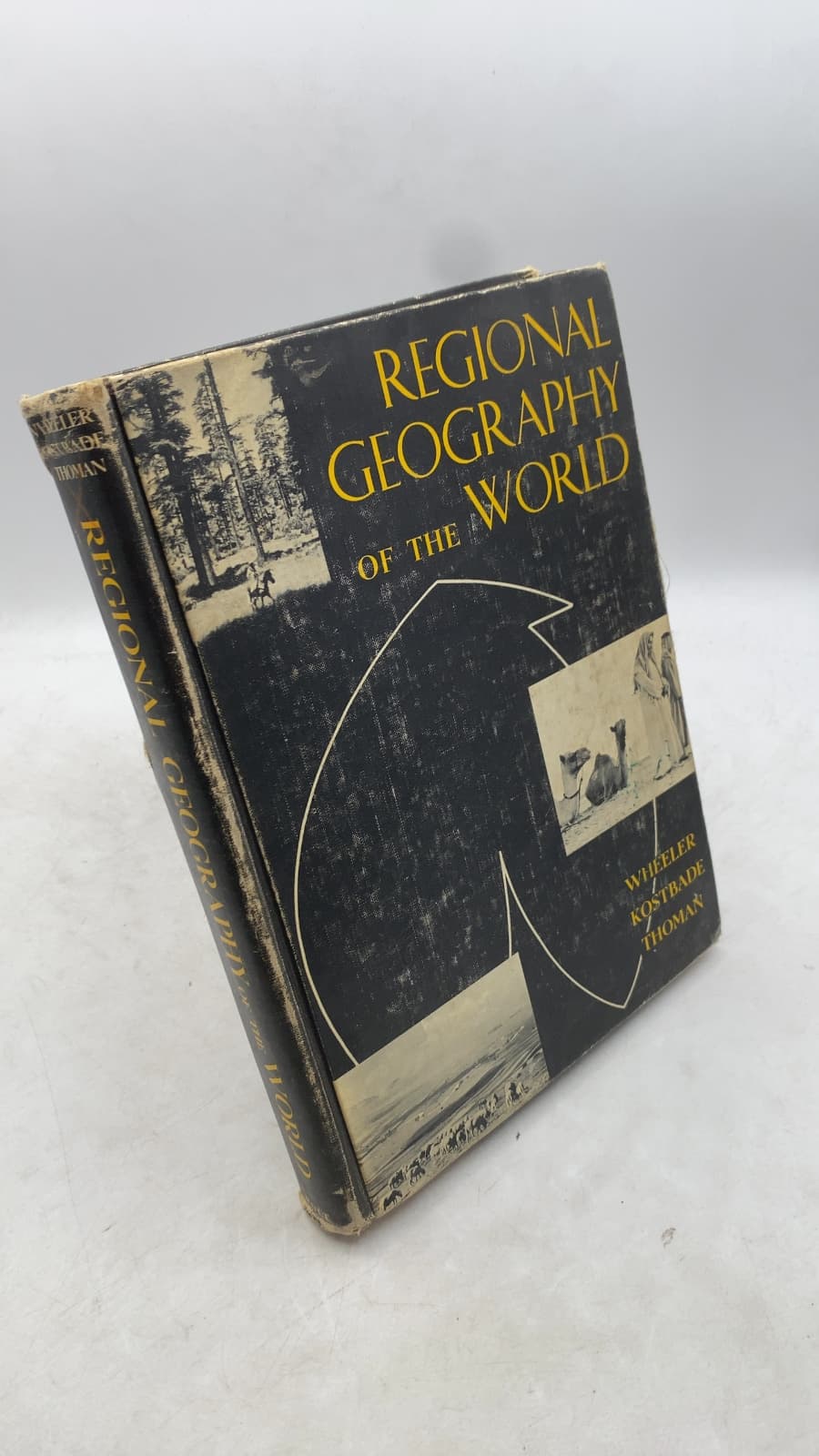 Regional Geography of the World