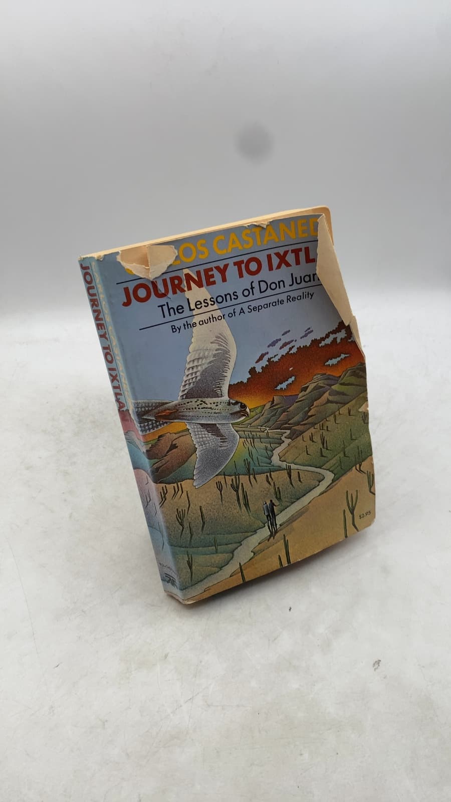Journey to Ixtlan: The Lessons of Don Juan