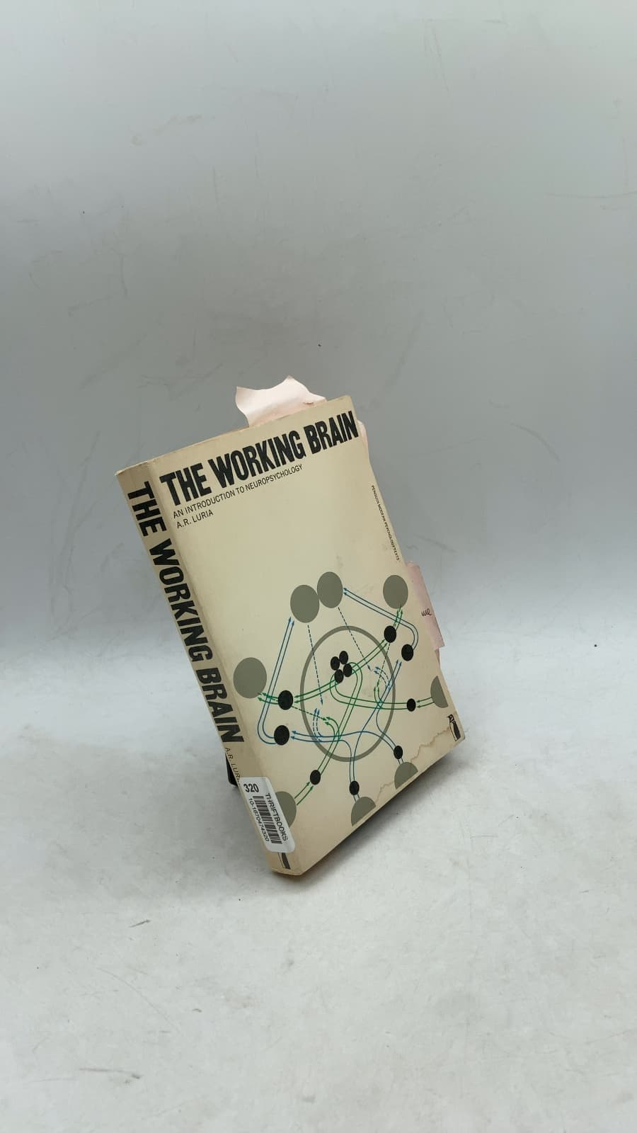 The Working Brain: An Introduction to Neuropsychology