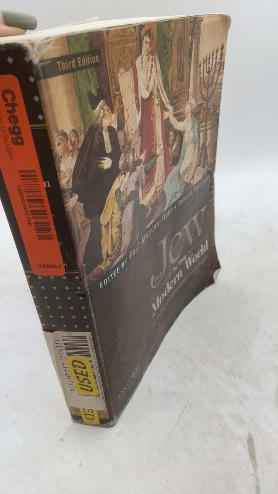 The Jew in the Modern World: A Documentary History
