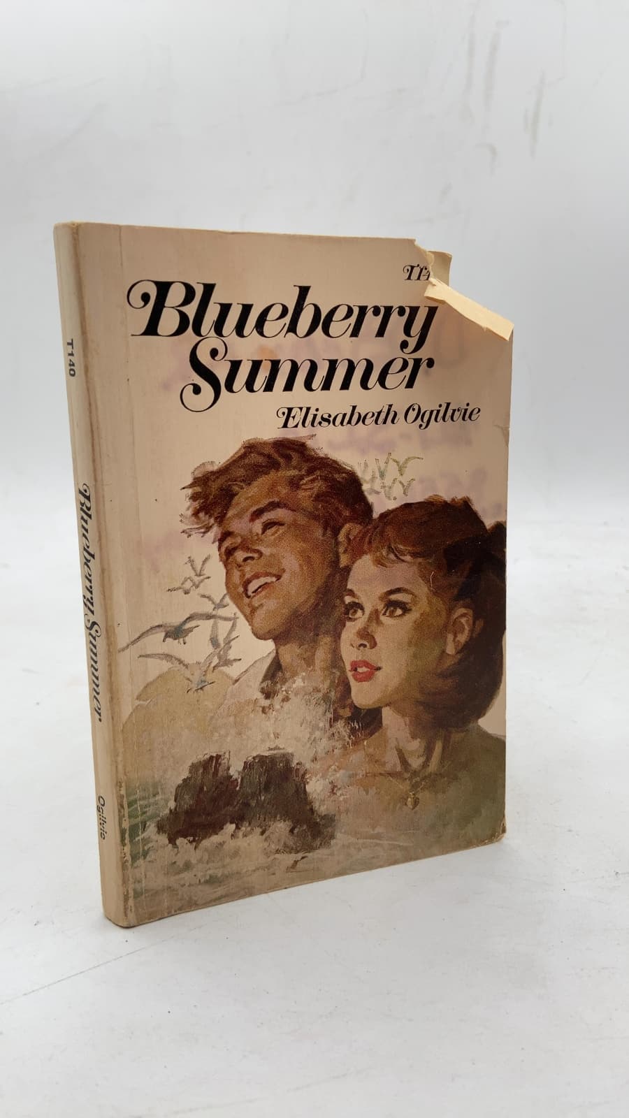 Blueberry Summer