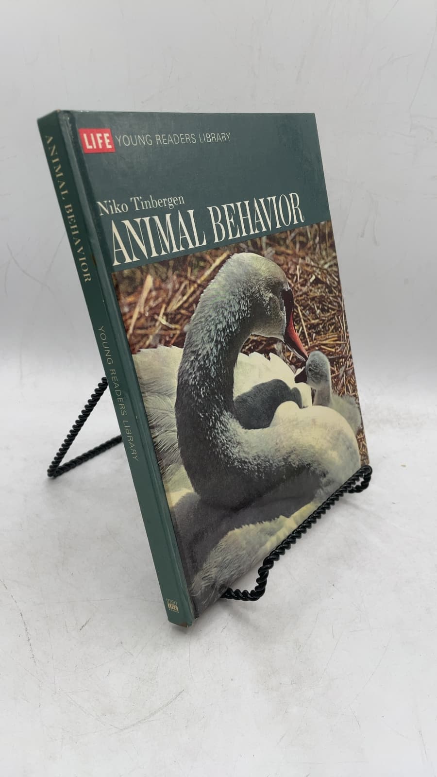 Animal Behavior