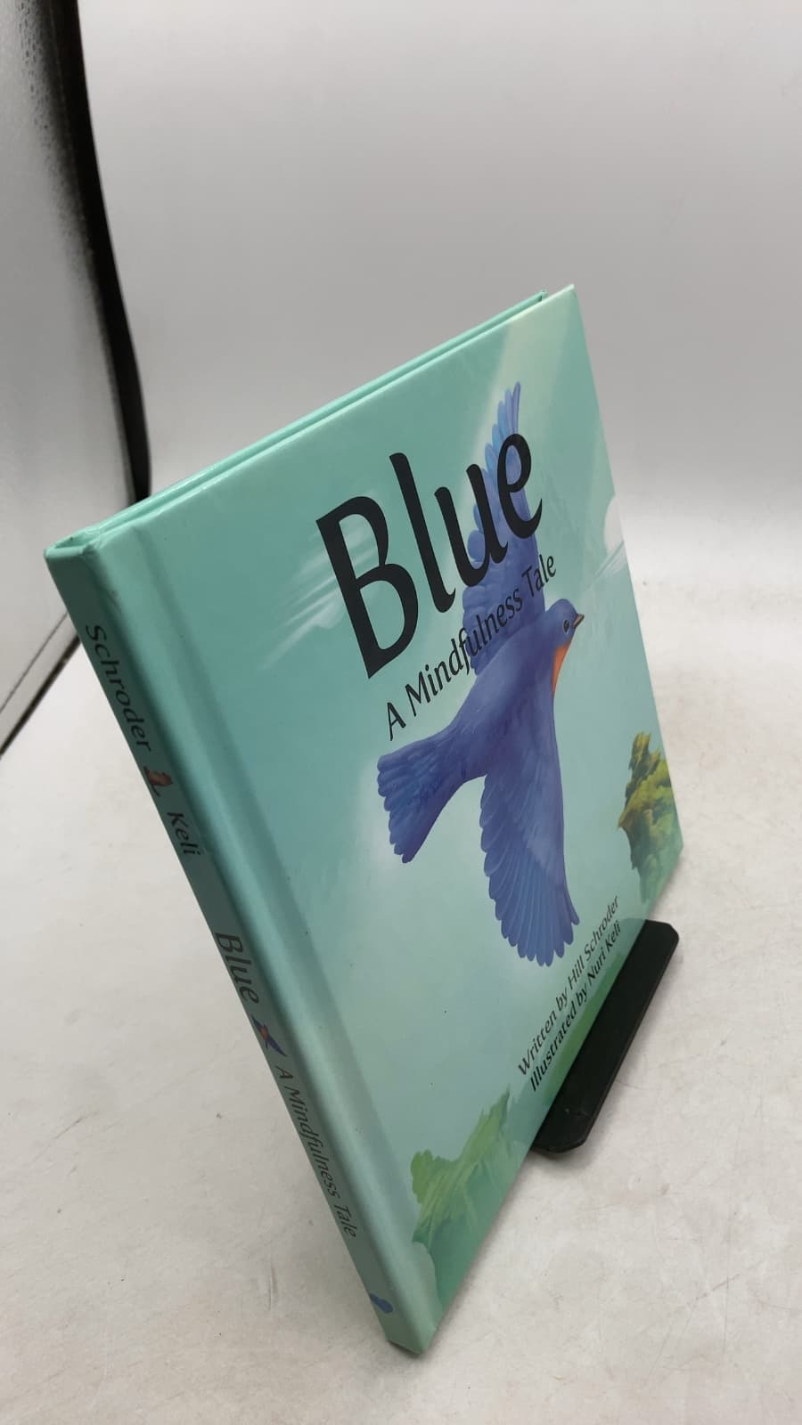 Blue: A Mindfulness Tale by Hill Schroder - front cover
