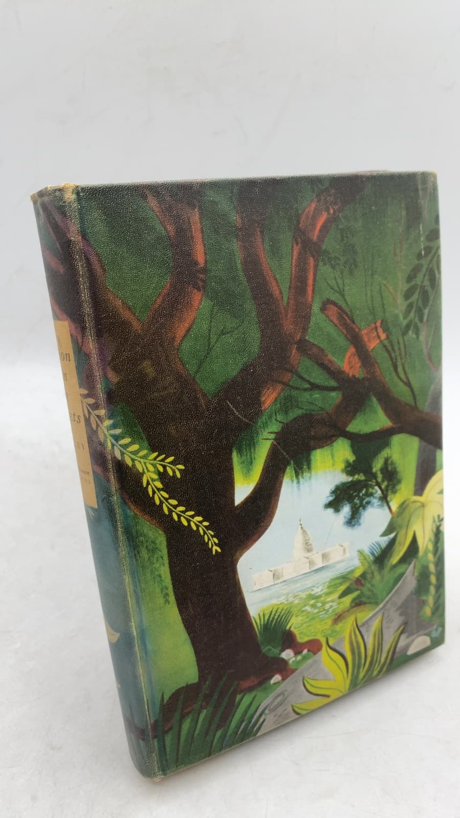 A Lion is in the Streets by Adria Locke Langley - front cover