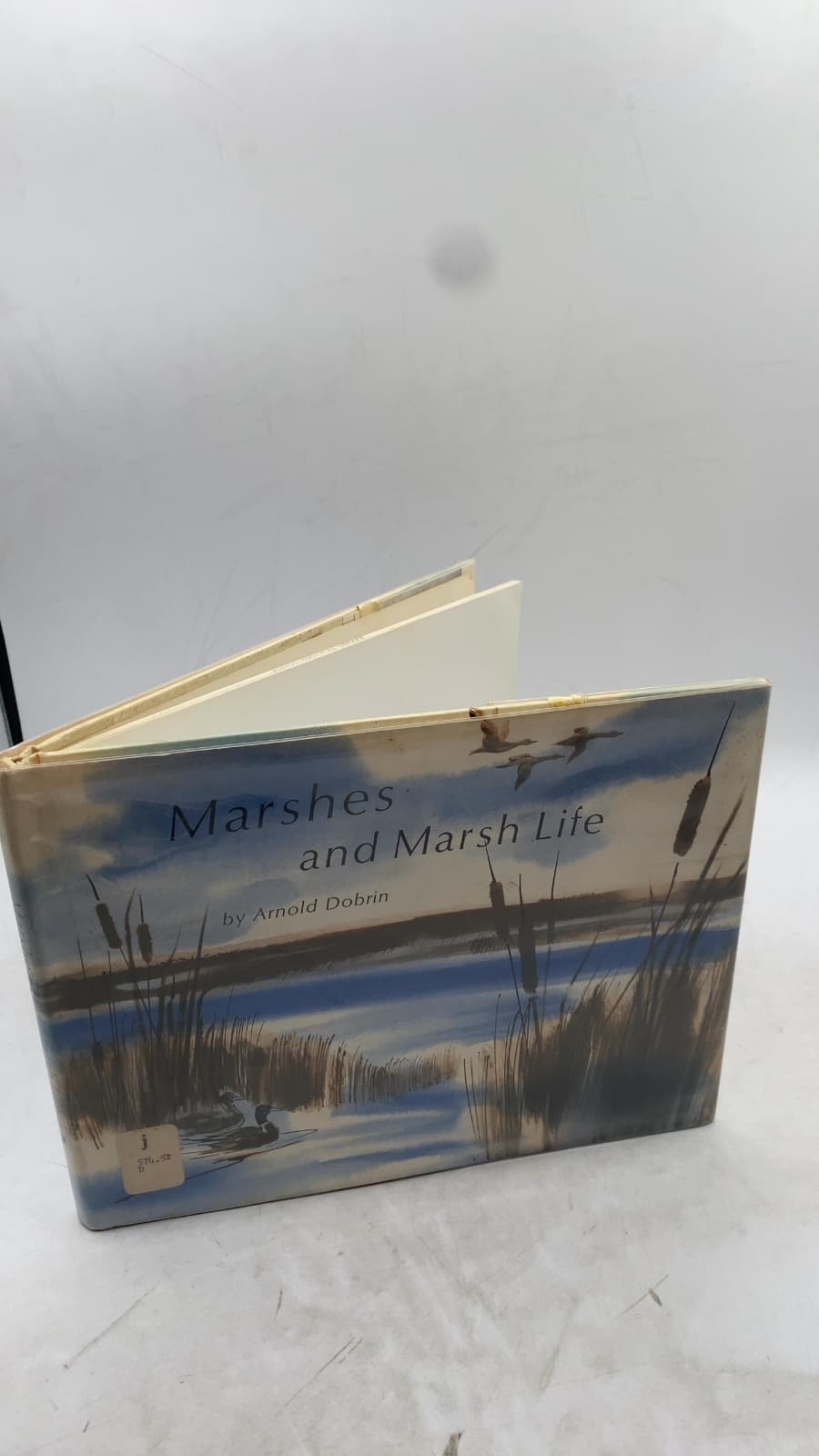 Marshes and Marsh Life by Arnold Dobrin - front cover