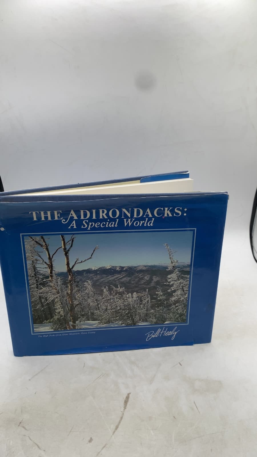 The Adirondacks: A Special World by Bill Healy - front cover