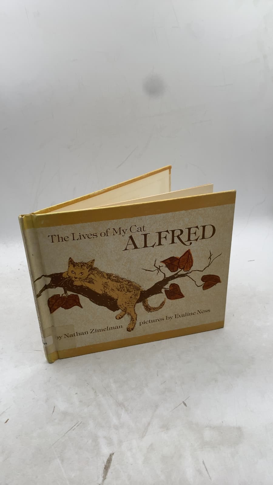 The Lives of My Cat Alfred by Nathan Zimelman - front cover