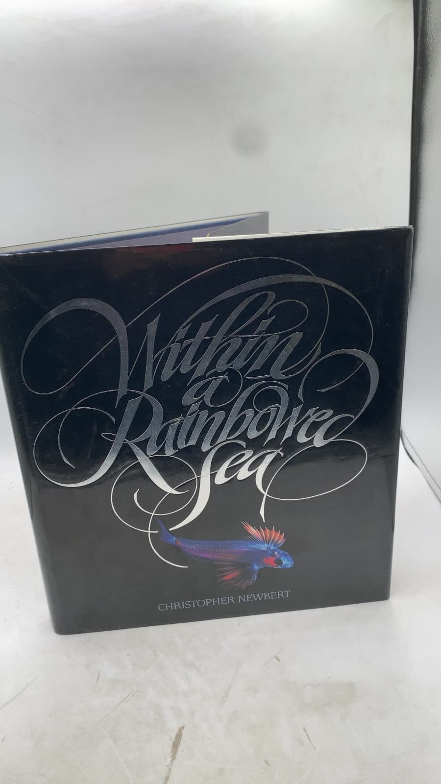 Within a Rainbowed Sea by Christopher Newbert - front cover