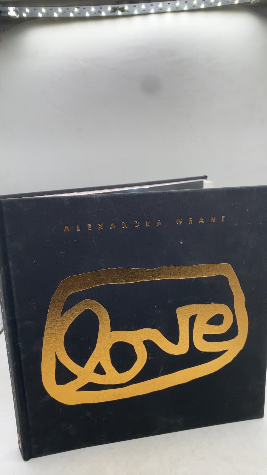 grantLOVE Project by Alexandra Grant - front cover