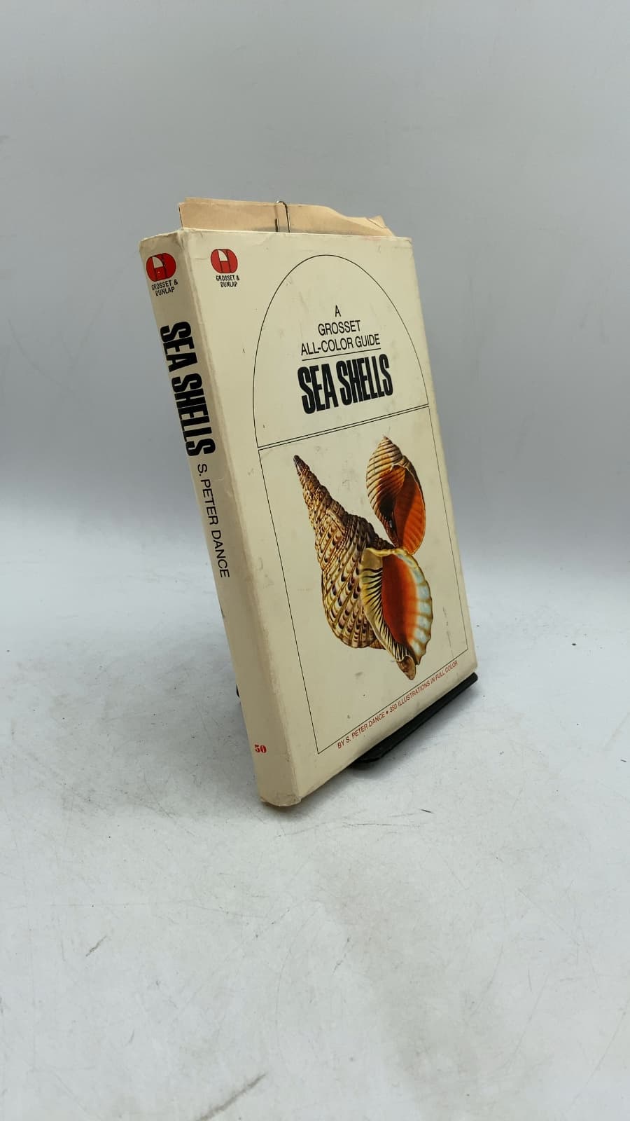 Sea Shells by S. Peter Dance - front cover