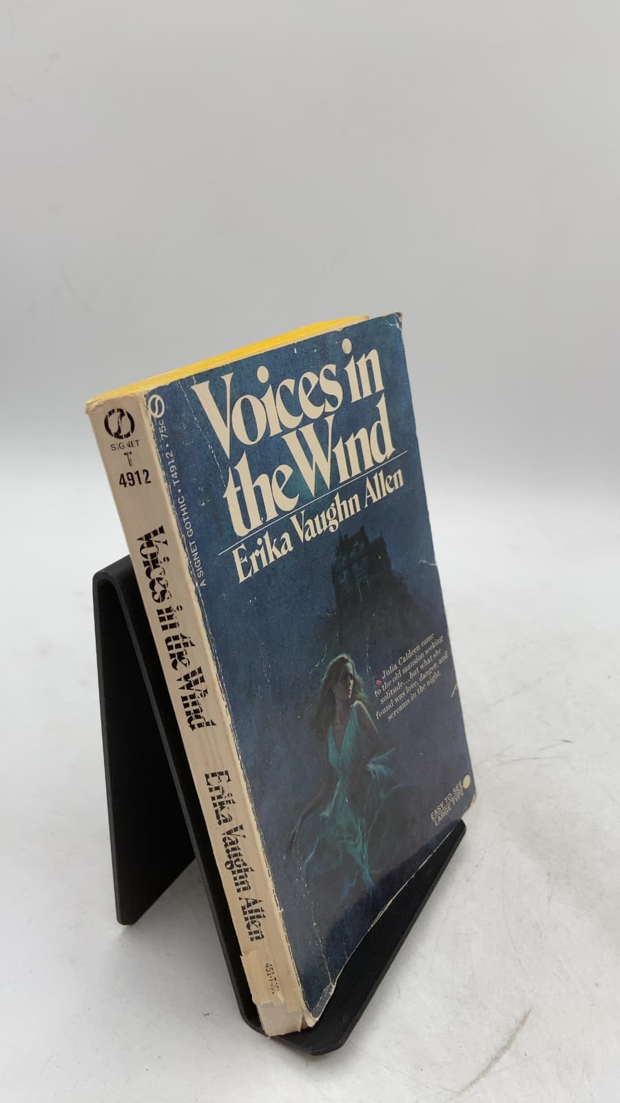 Voices in the Wind by Erika Vaughn Allen - front cover