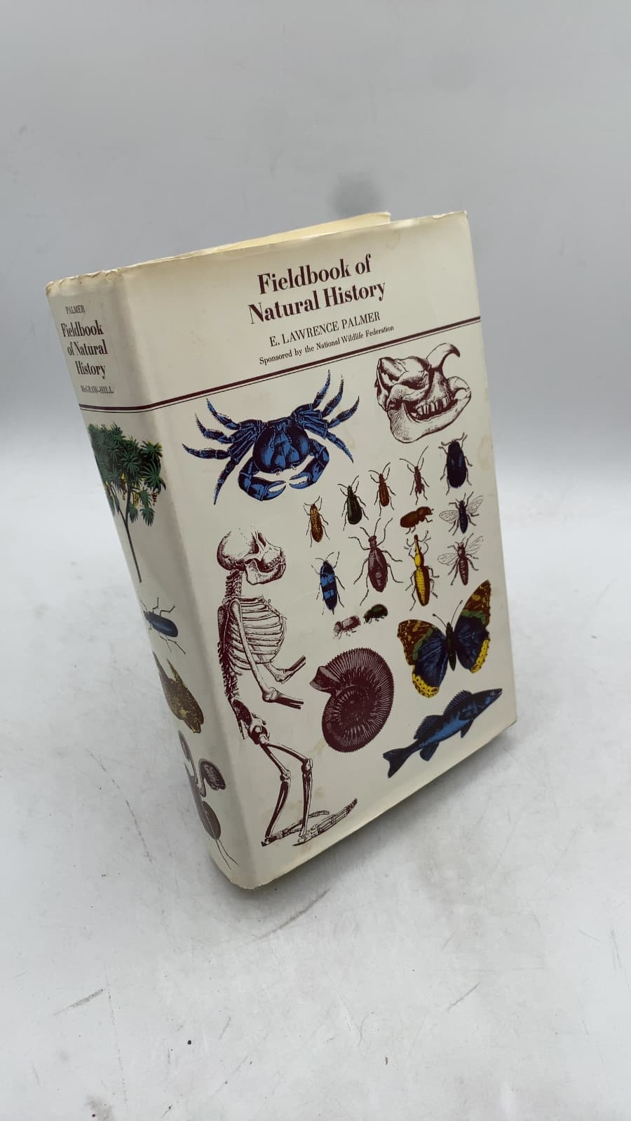 Fieldbook of Natural History by E. Laurence Palmer - front cover