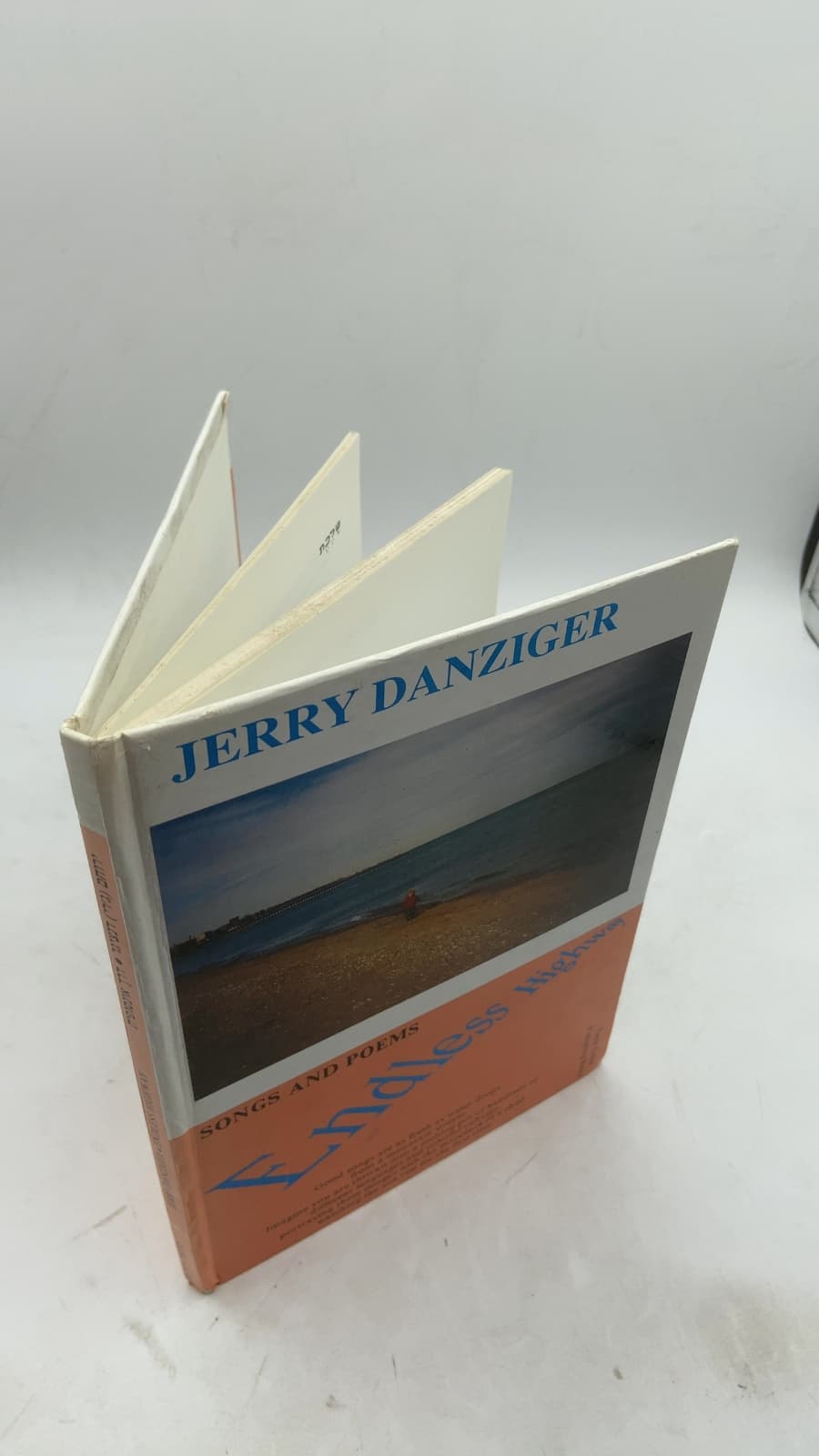 Endless Highway Songs AND Poems Volume I by Jerry Danziger - front cover
