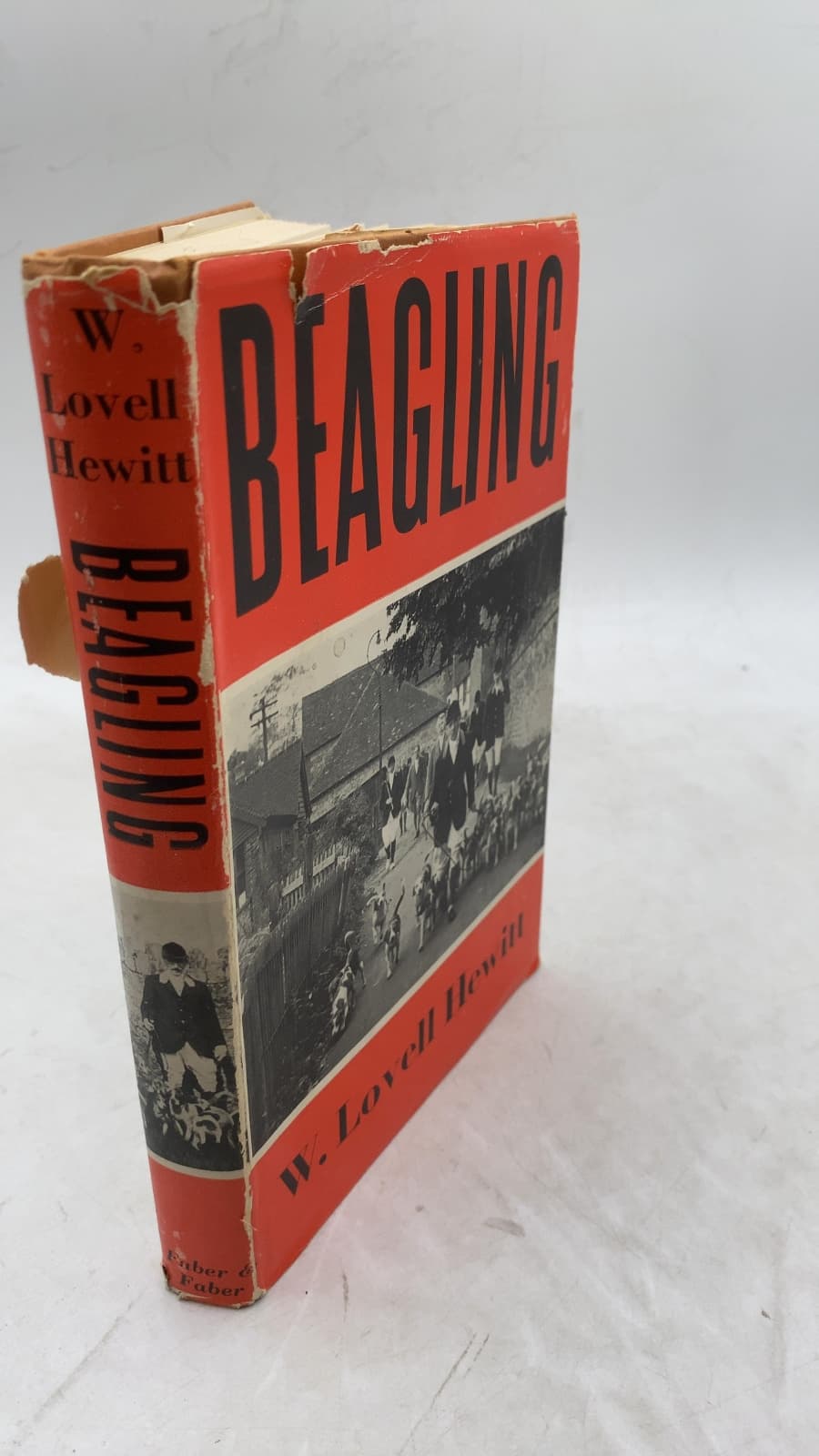 Beagling by W. Lovell Hewitt - front cover